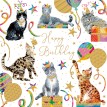 Alina Cards Alina Cards