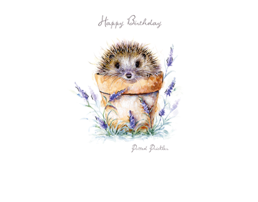 Pawfolio Cards