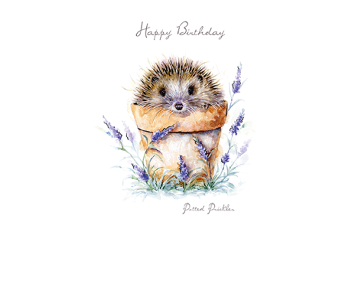Pawfolio Cards