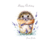Pawfolio Cards Pawfolio Cards