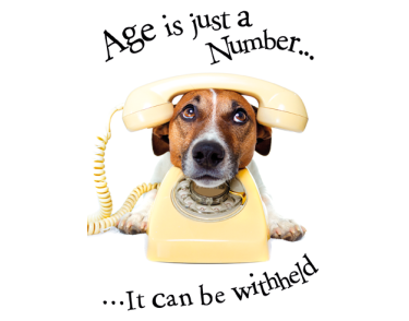 Animal Humour Cards