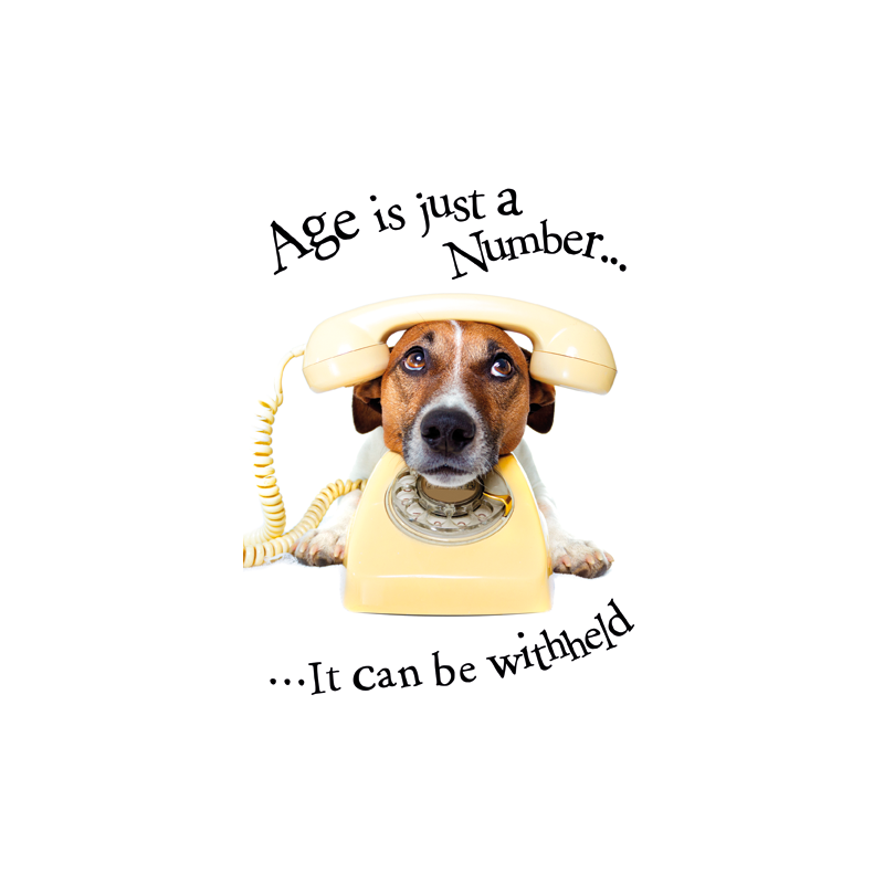 Animal Humour Cards