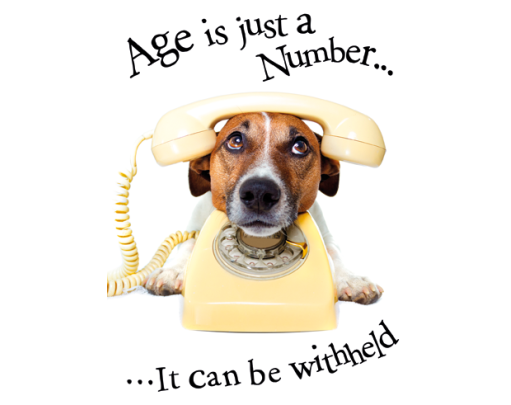 Animal Humour Cards