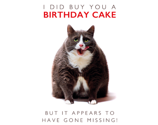 Animal Humour Cards