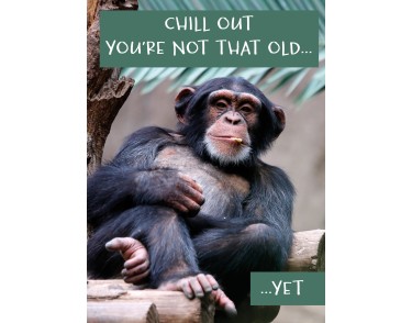 Animal Humour Cards