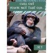 Animal Humour Cards