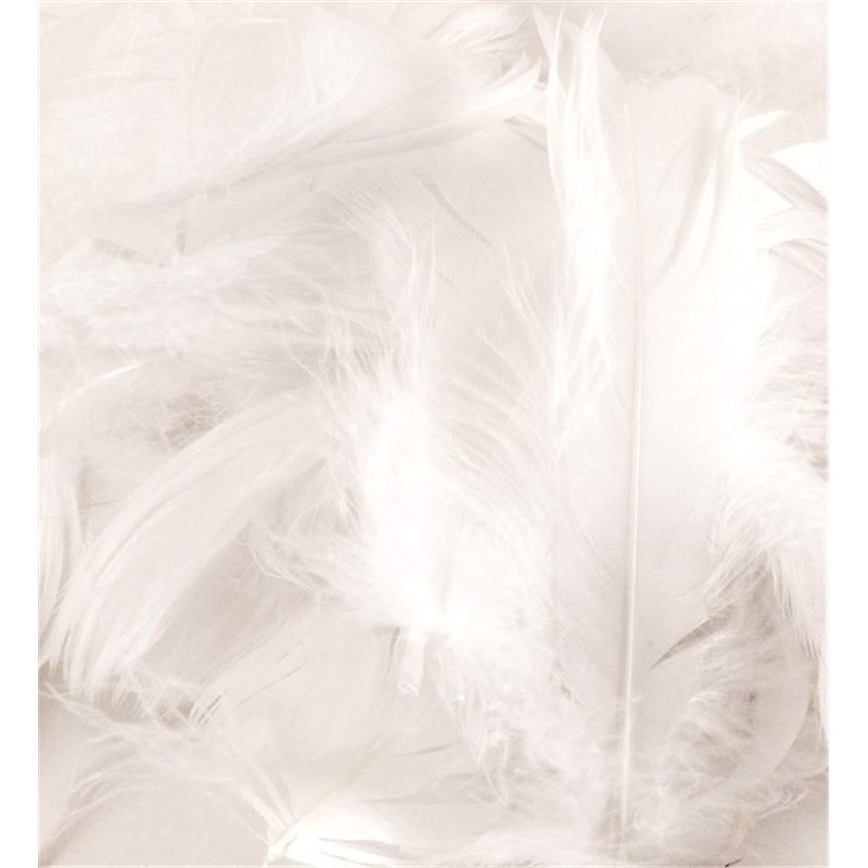 50G ASST WHITE FEATHERS