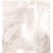 50G ASST WHITE FEATHERS