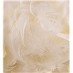 50G ASST IVORY FEATHERS