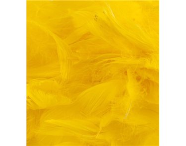 50G ASST YELLOW FEATHERS
