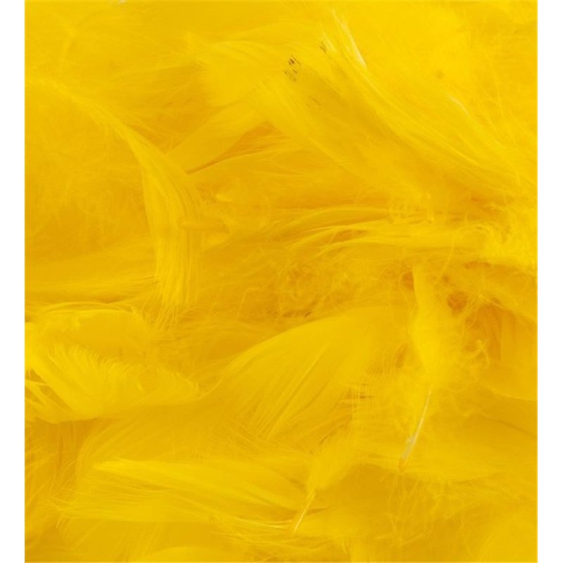 50G ASST YELLOW FEATHERS