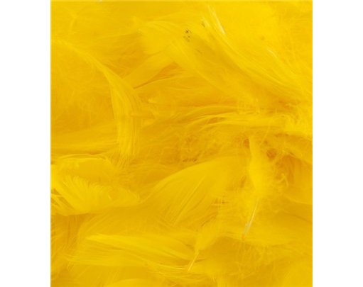 50G ASST YELLOW FEATHERS