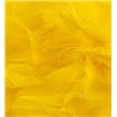 50G ASST YELLOW FEATHERS