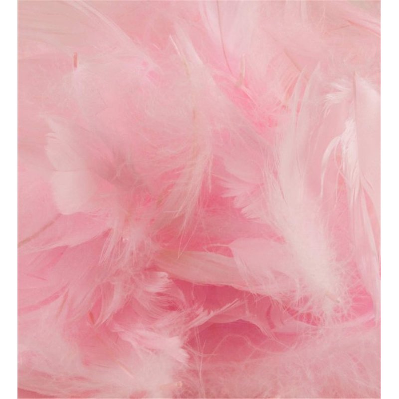 50G ASST LIGHT PINK FEATHERS