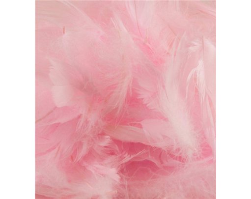 50G ASST LIGHT PINK FEATHERS