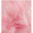 50G ASST LIGHT PINK FEATHERS
