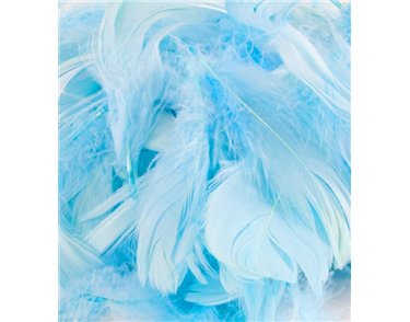 50G ASST LIGHT BLUE FEATHERS