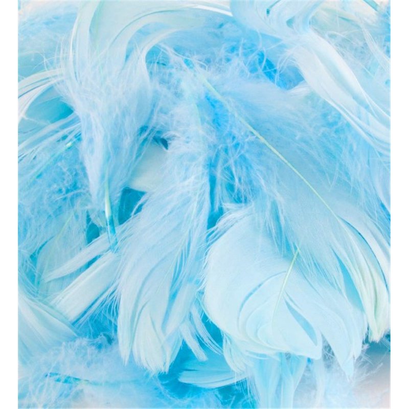 50G ASST LIGHT BLUE FEATHERS
