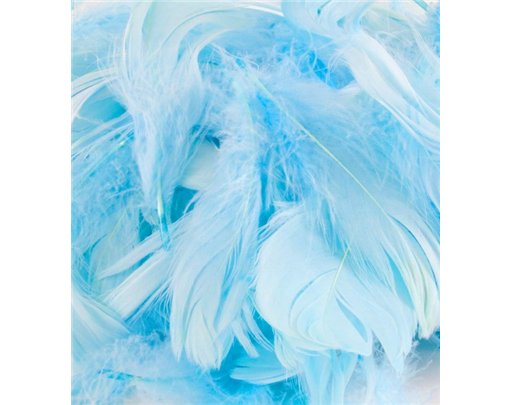 50G ASST LIGHT BLUE FEATHERS