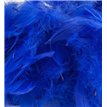 50G ASST ROYAL BLUE FEATHERS