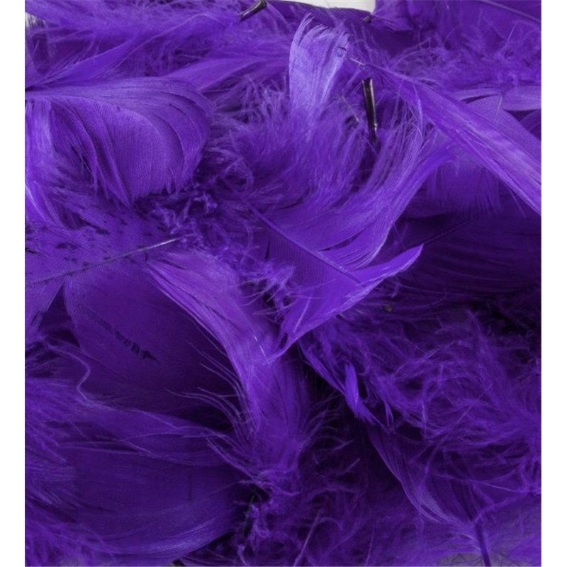 50G ASST PURPLE FEATHERS