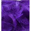 50G ASST PURPLE FEATHERS