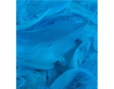 50G ASST TURQUOISE FEATHERS