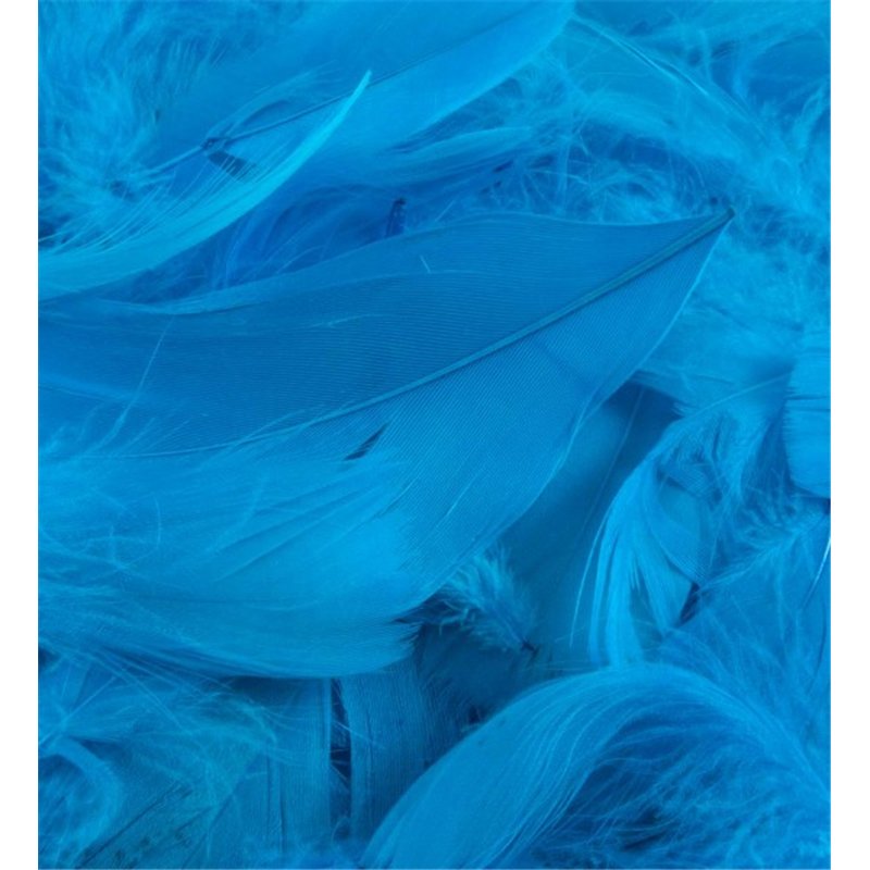 50G ASST TURQUOISE FEATHERS