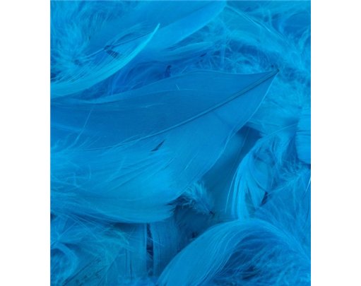 50G ASST TURQUOISE FEATHERS