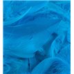 50G ASST TURQUOISE FEATHERS