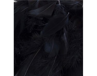50G ASST BLACK FEATHERS