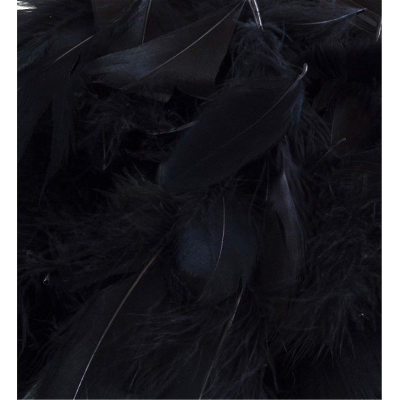 50G ASST BLACK FEATHERS