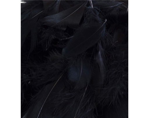 50G ASST BLACK FEATHERS