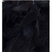 50G ASST BLACK FEATHERS