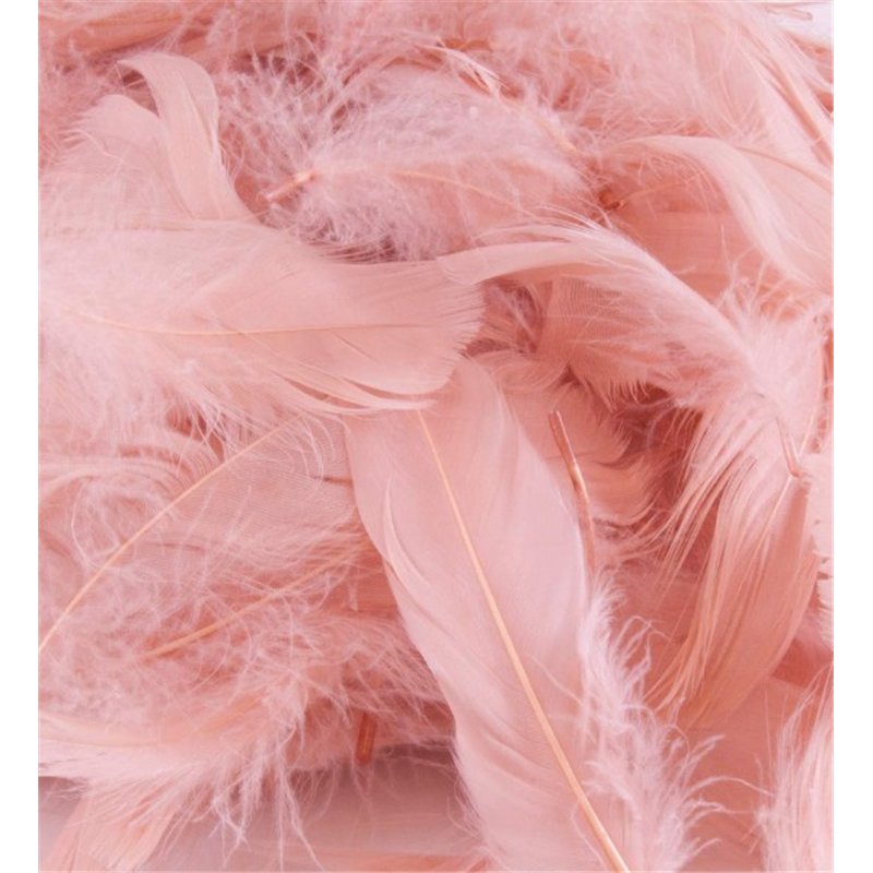 50G ASST ROSE GOLD FEATHERS