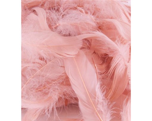 50G ASST ROSE GOLD FEATHERS