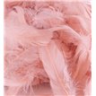 50G ASST ROSE GOLD FEATHERS