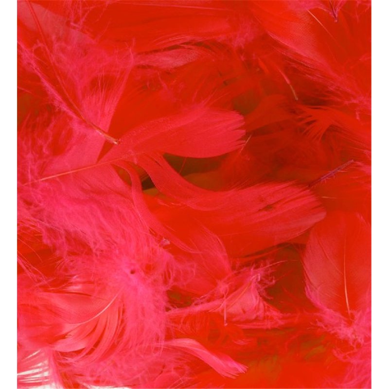 50G ASST RED FEATHERS