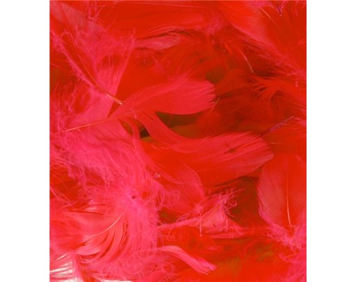 50G ASST RED FEATHERS