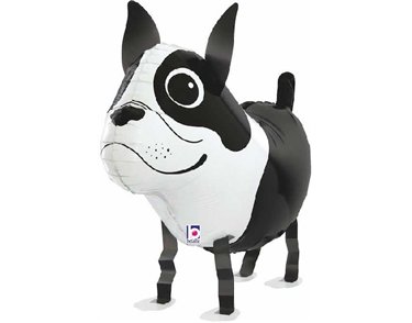 BOSTON TERRIER WALKING BALLOON