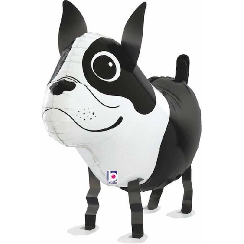 BOSTON TERRIER WALKING BALLOON