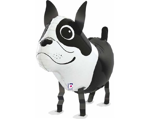 BOSTON TERRIER WALKING BALLOON