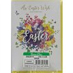C50 OPEN TRAD ELVIN EASTER 6S