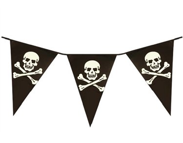 12FT PIRATE BUNTING 11 FLAGS