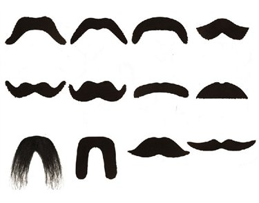 FAKE MOUSTACHE
