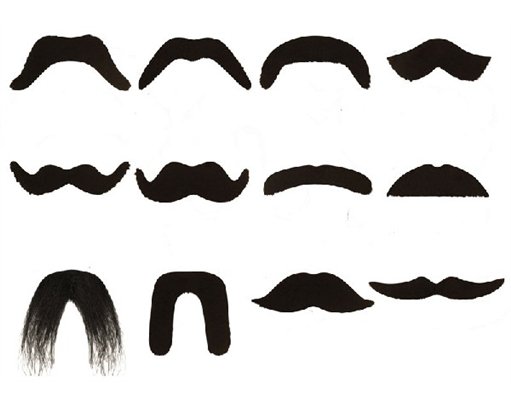 FAKE MOUSTACHE