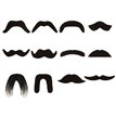 FAKE MOUSTACHE