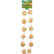 GARLIC CLOVE GARLAND