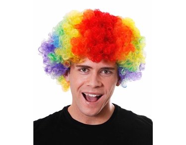 RAINBOW ADULT CLOWN WIG