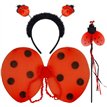 3PC GIRL LADYBIRD SET